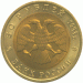 Гималайский медведь (серия "Красная книга"). Монета 50 рублей, 1993 год, Россия.